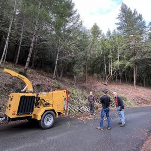 Vegetation Management